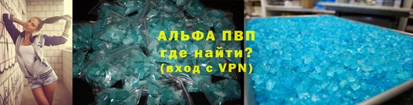 PSILOCYBIN Заволжск