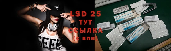 PSILOCYBIN Заволжск