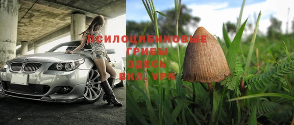 PSILOCYBIN Заволжск