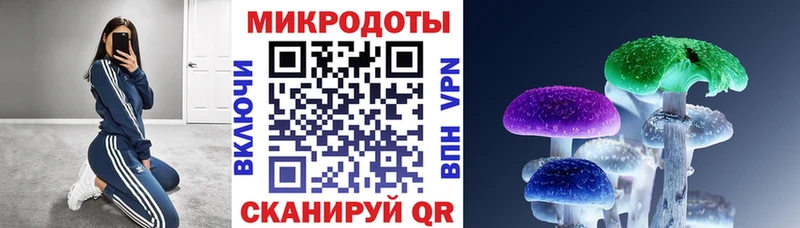 Купить закладки  Мичуринск  Галлюциногенные грибы мухоморы 
